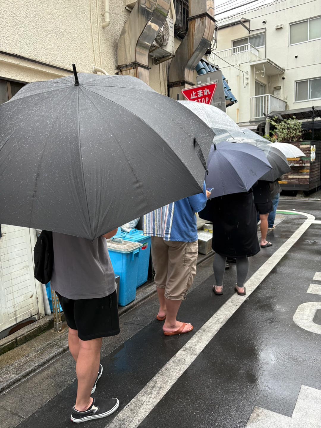 『台風、チャンス、えー…』